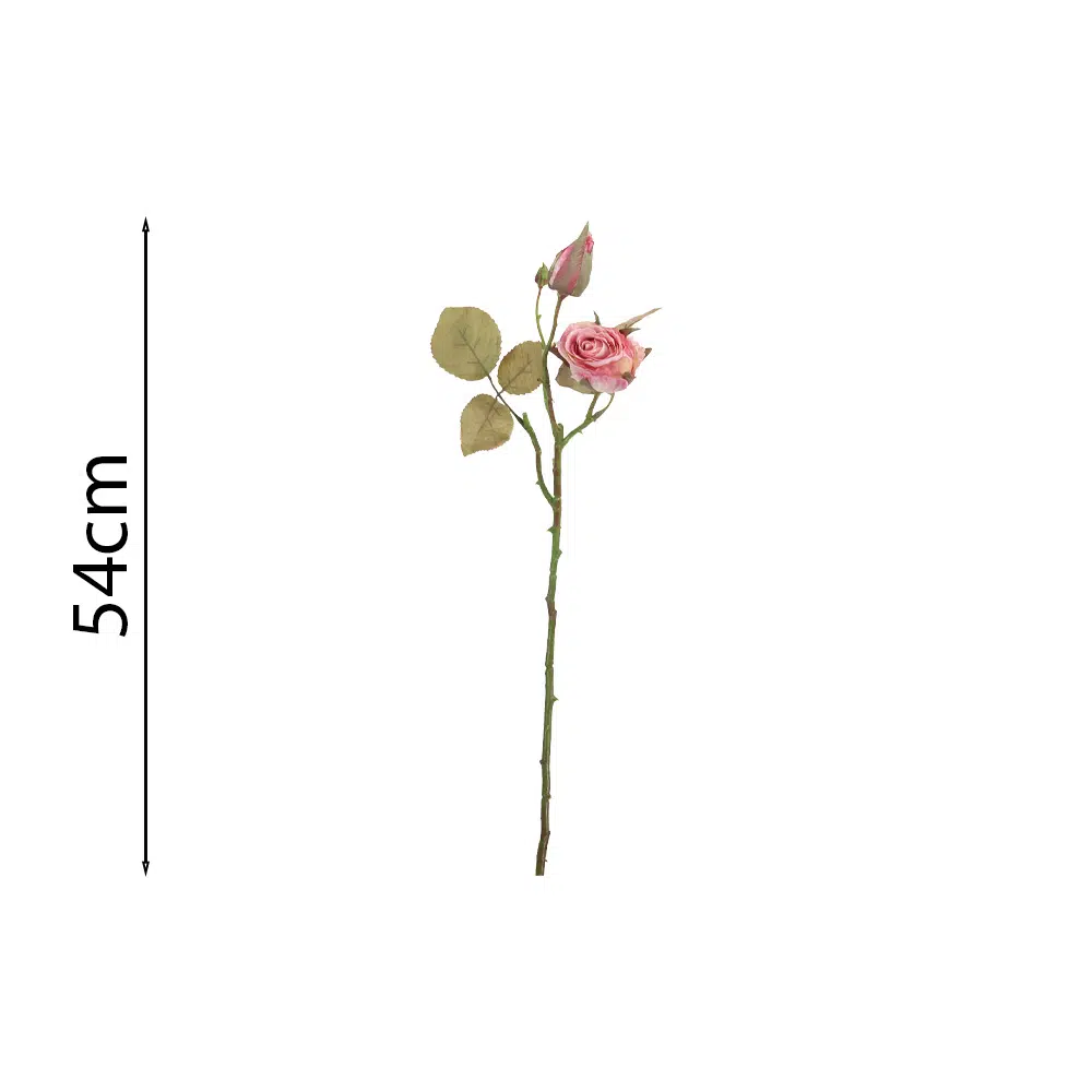 ROSA ROSA CLARO 54Cm