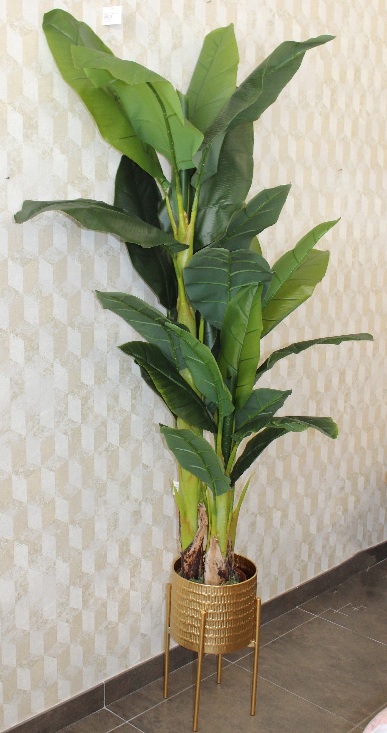 PLANTA BANANERO 165CM