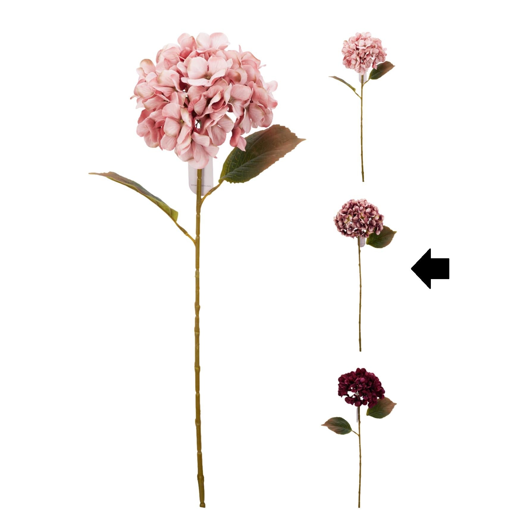 HORTÊNSIA ROSA VELHO 76Cm