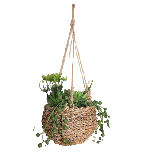 PLANTA COLGANTE 15X15X18CM