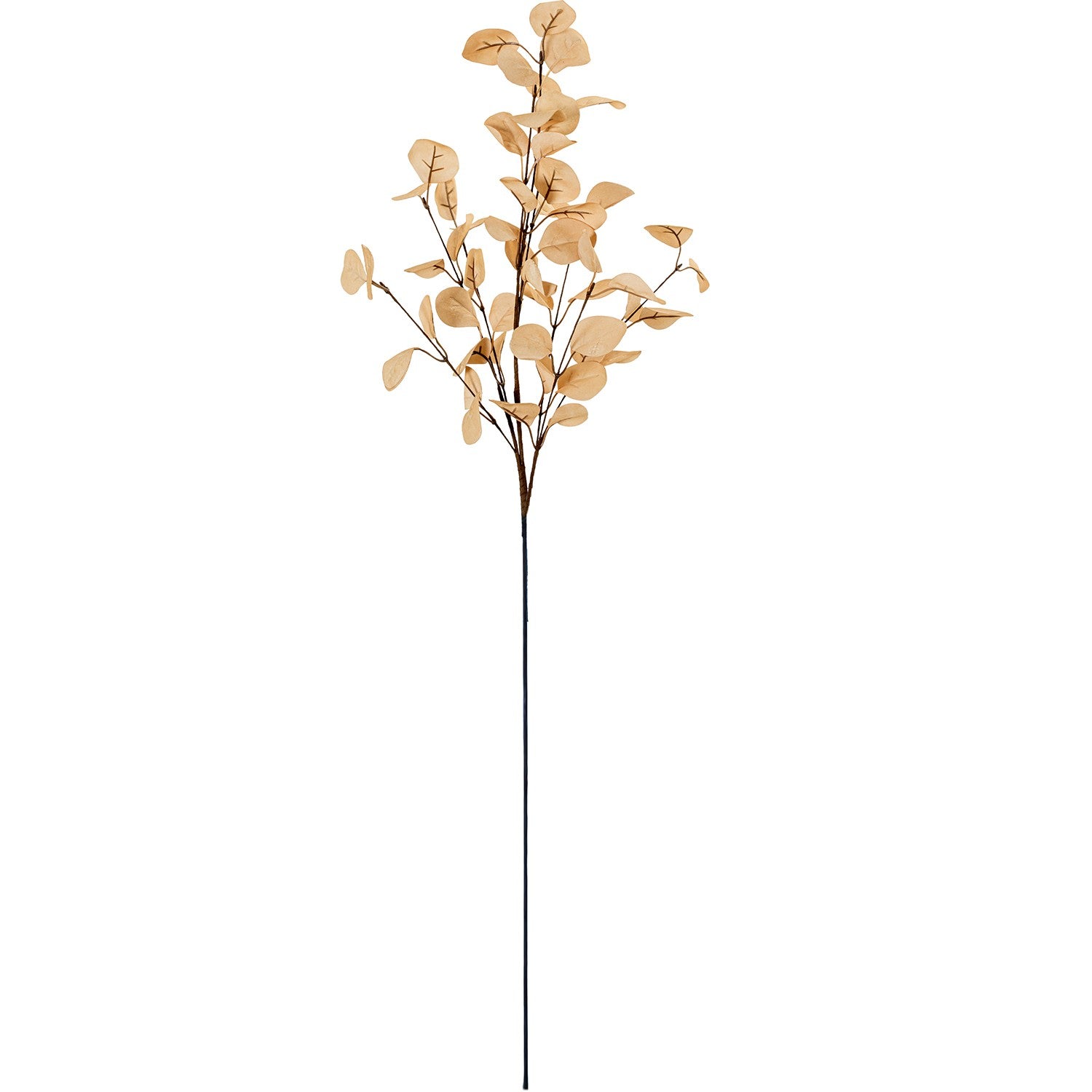 HASTE EUCALIPTO BEGE