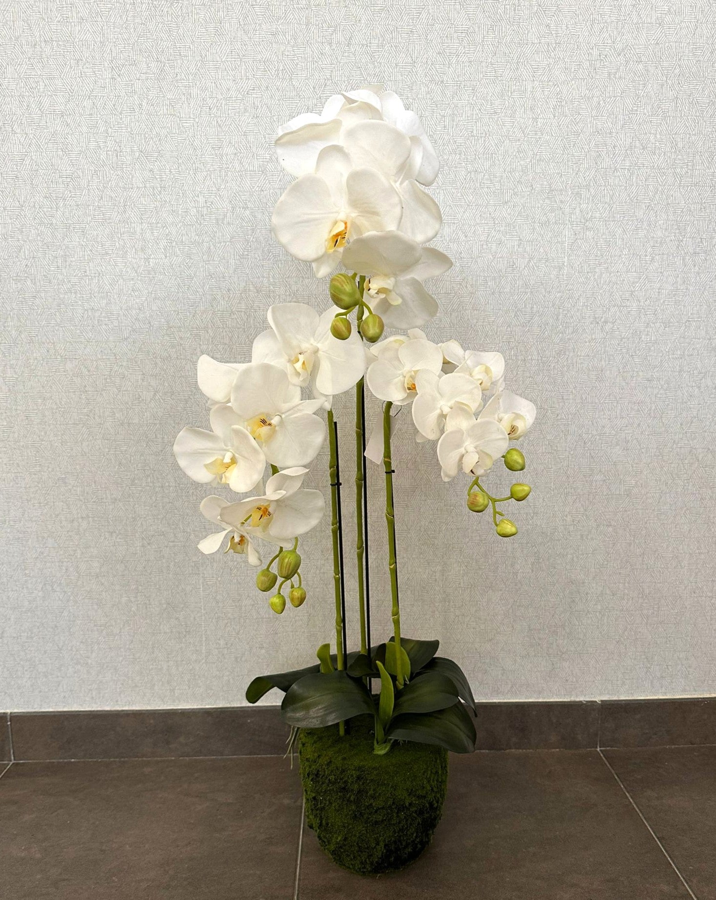 ORQUÍDEA X5 120CM