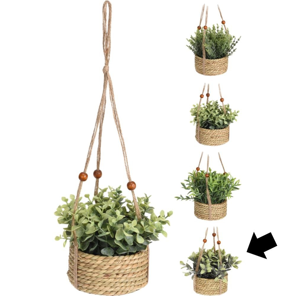 CESTO C/ PLANTA PENDURAR