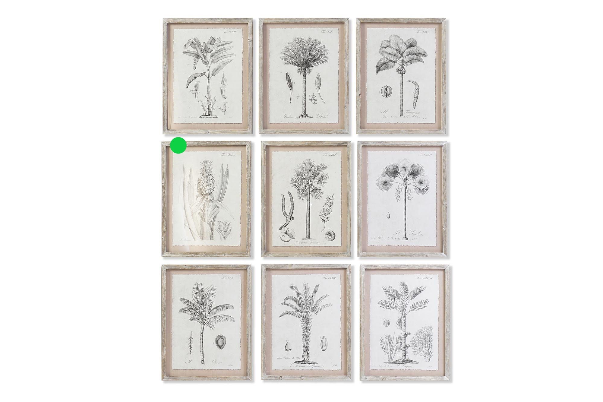 QUADRO PALMEIRAS 35X1,8X45CM