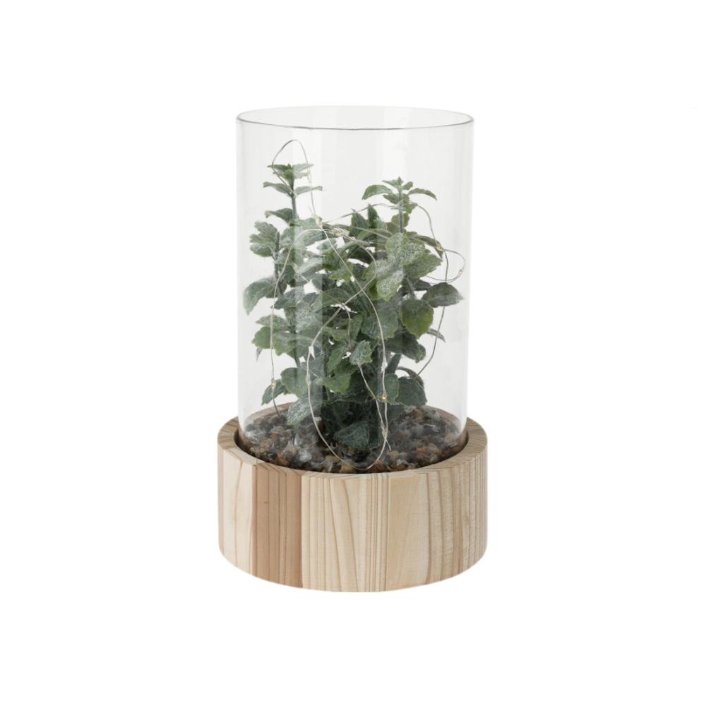 PLANTA CON LED 23X14CM