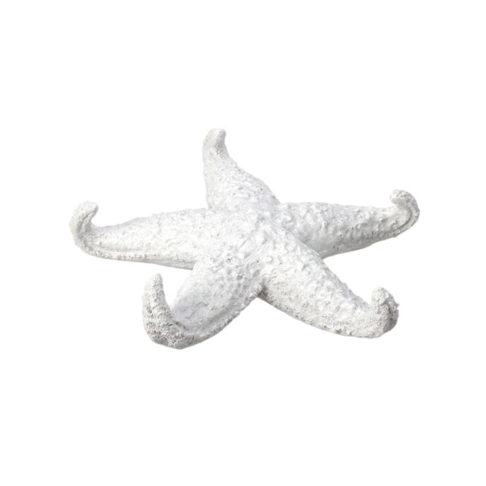 ESTRELLA DE MAR 20X3CM