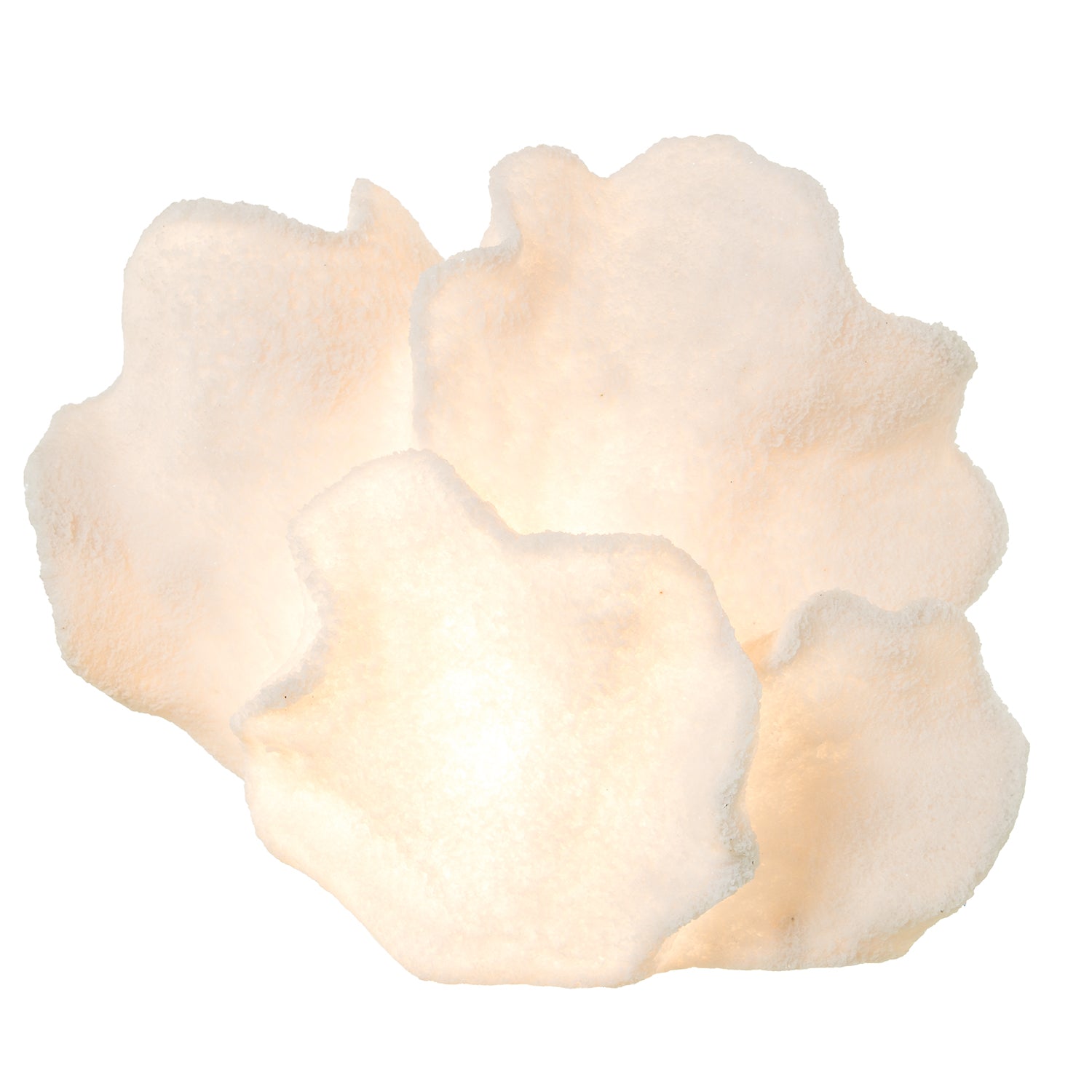 CANDEEIRO CORAL 33X22X26,5Cm
