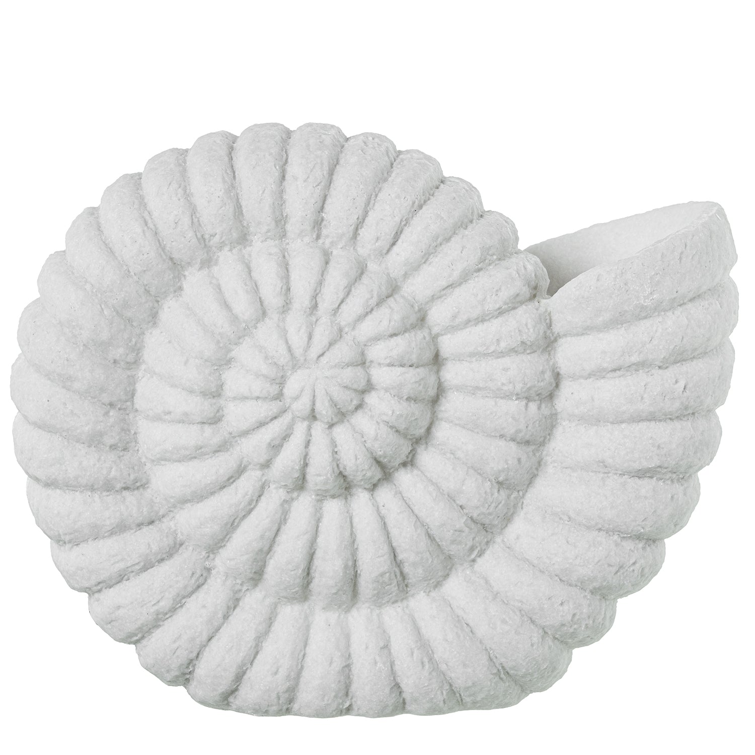 CANDEEIRO CARACOL DO MAR 34X16X26,5Cm