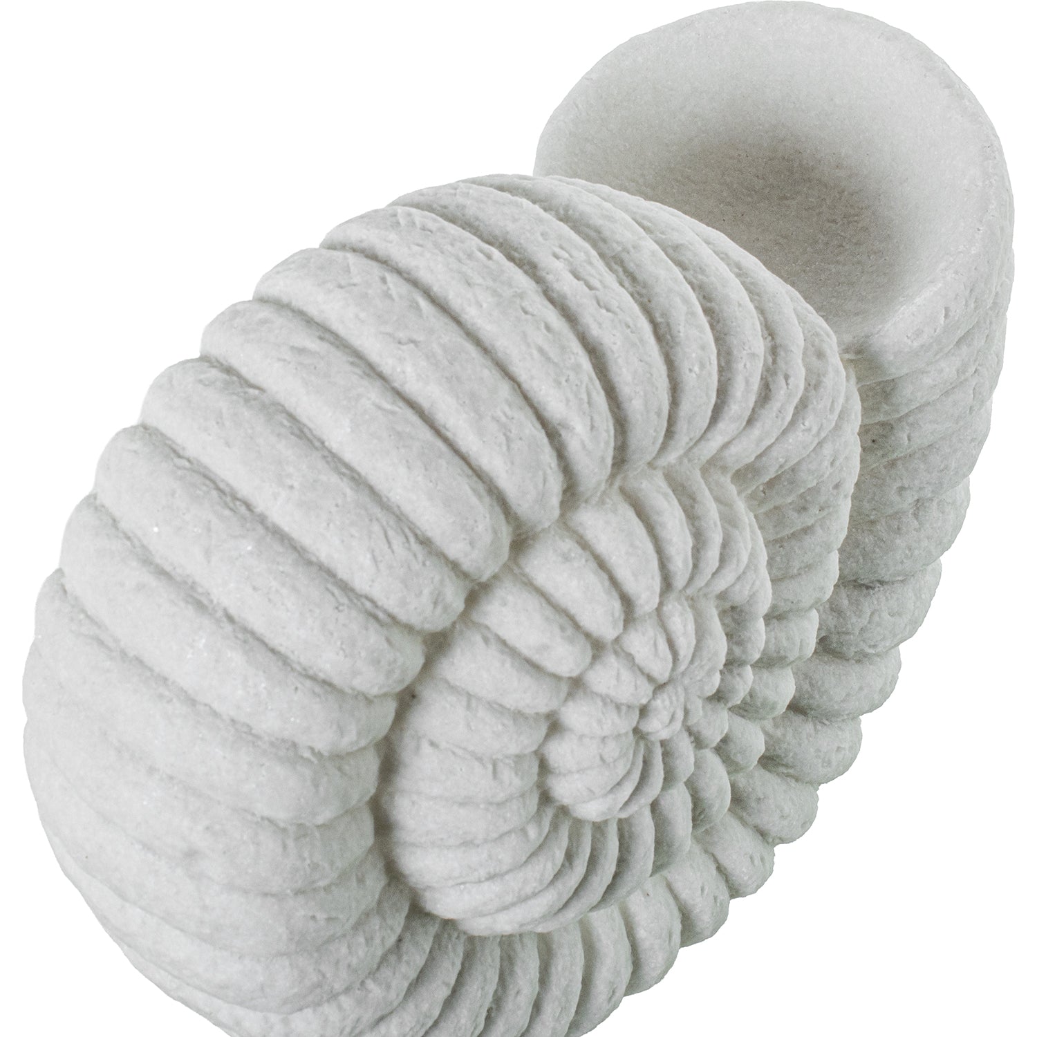 CANDEEIRO CARACOL DO MAR 34X16X26,5Cm