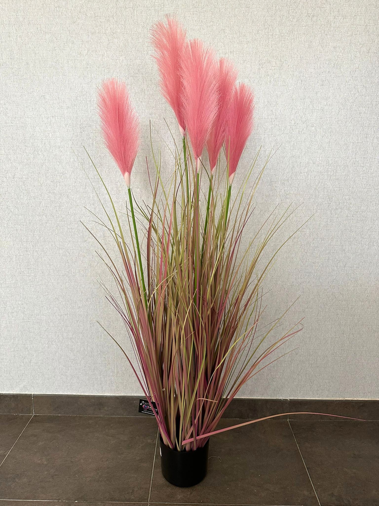 PAMPAS ROSA 120CM