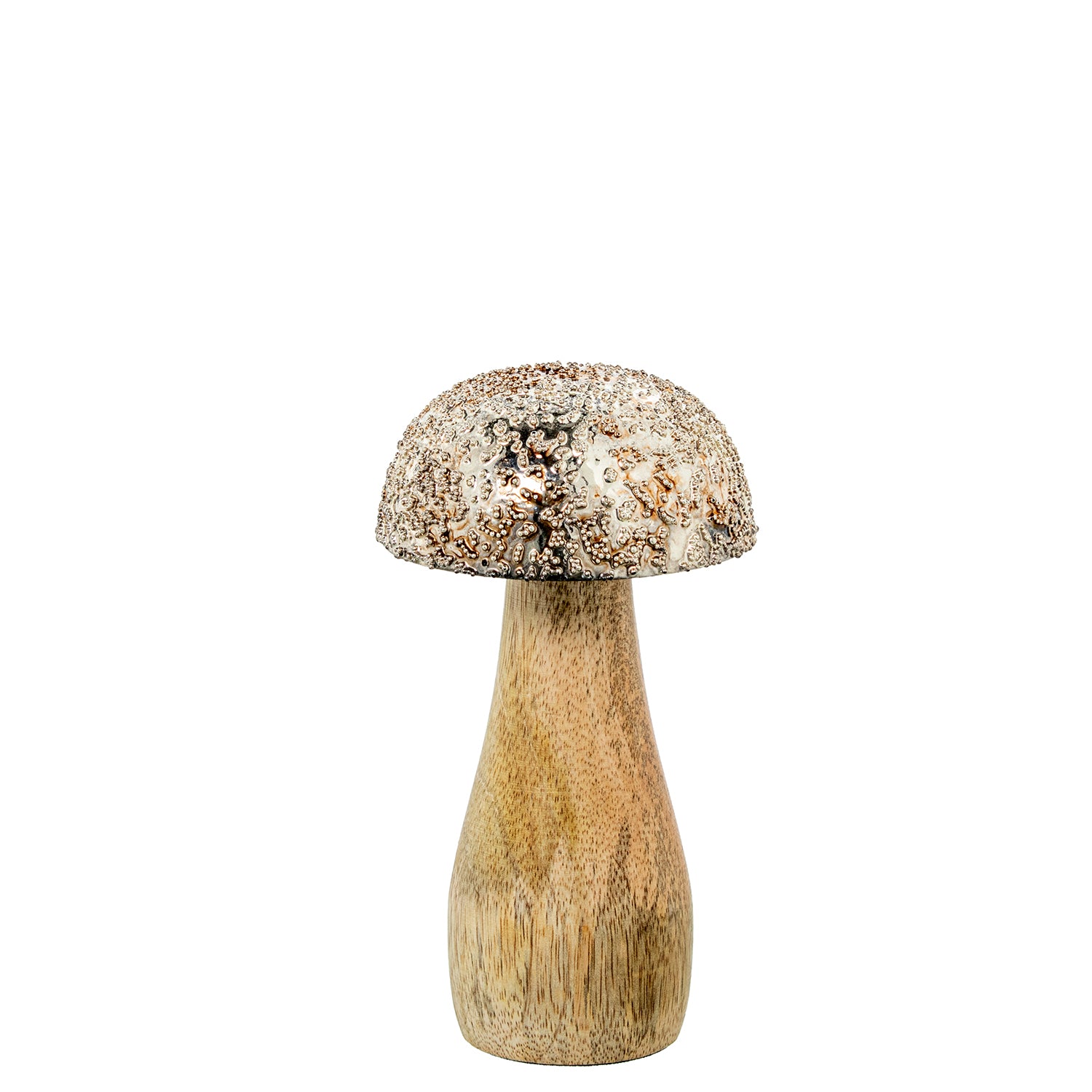 COGUMELO CHAMPANHE 9X16CM