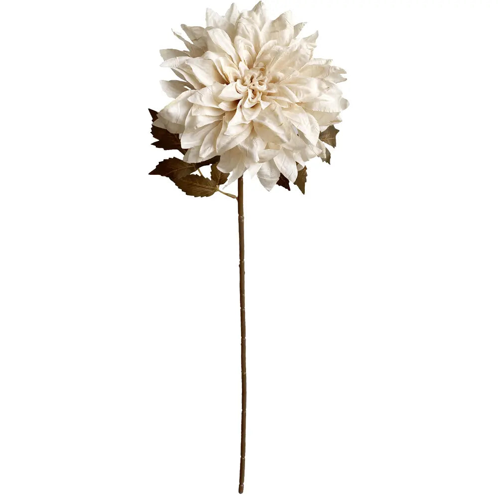 DÁLIA CREME 57Cm