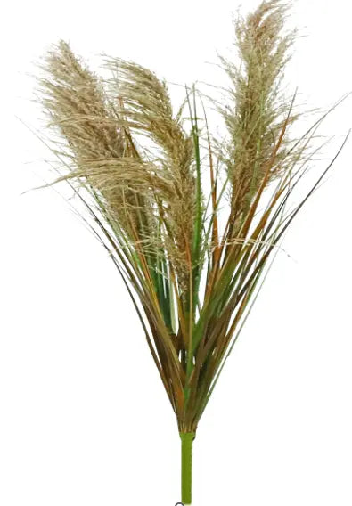 HASTE PAMPAS 120Cm