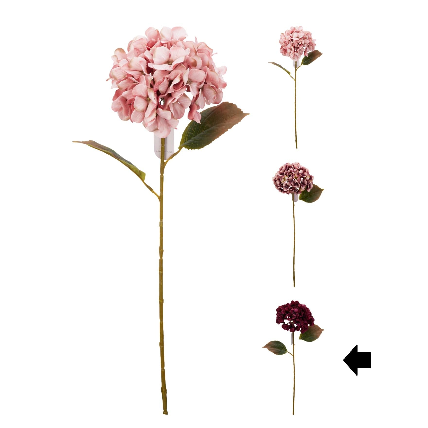 HORTENSIA CEREZA 76Cm