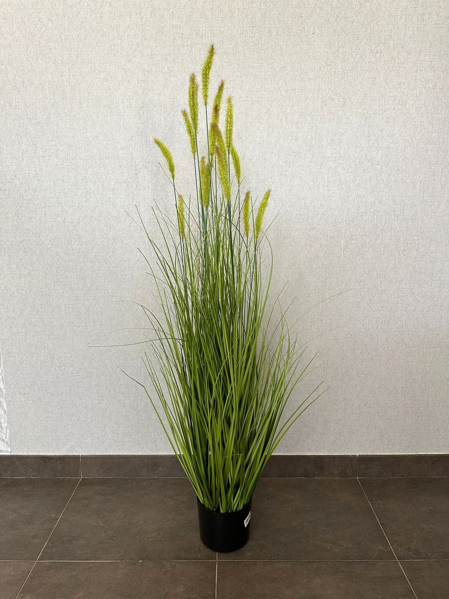 PAMPAS GRASS 120CM