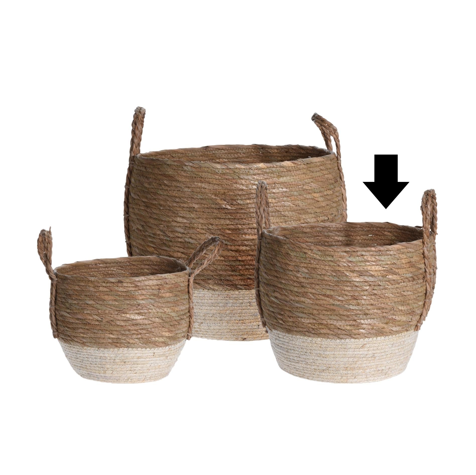 CESTO NATURAL 2 CORES