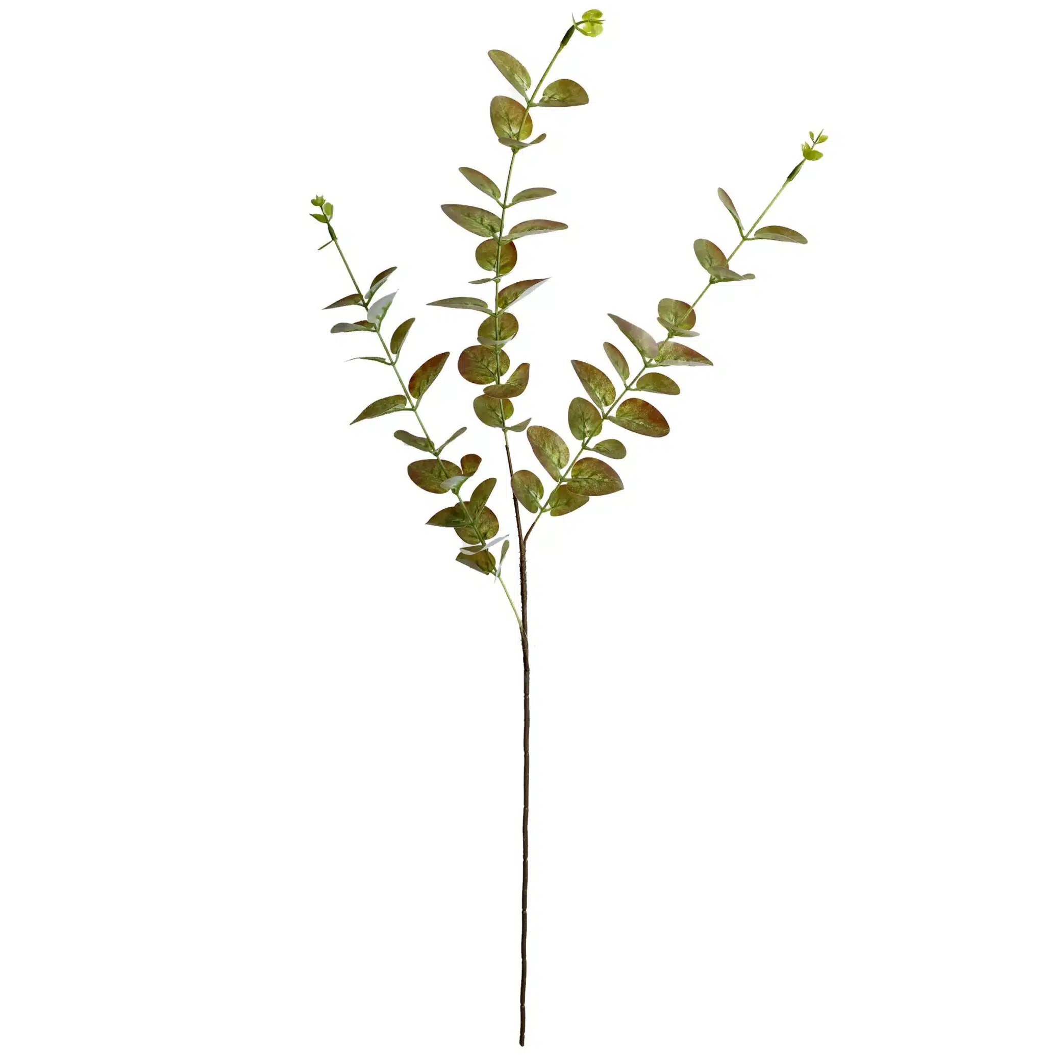 HASTE EUCALIPTO 85CM