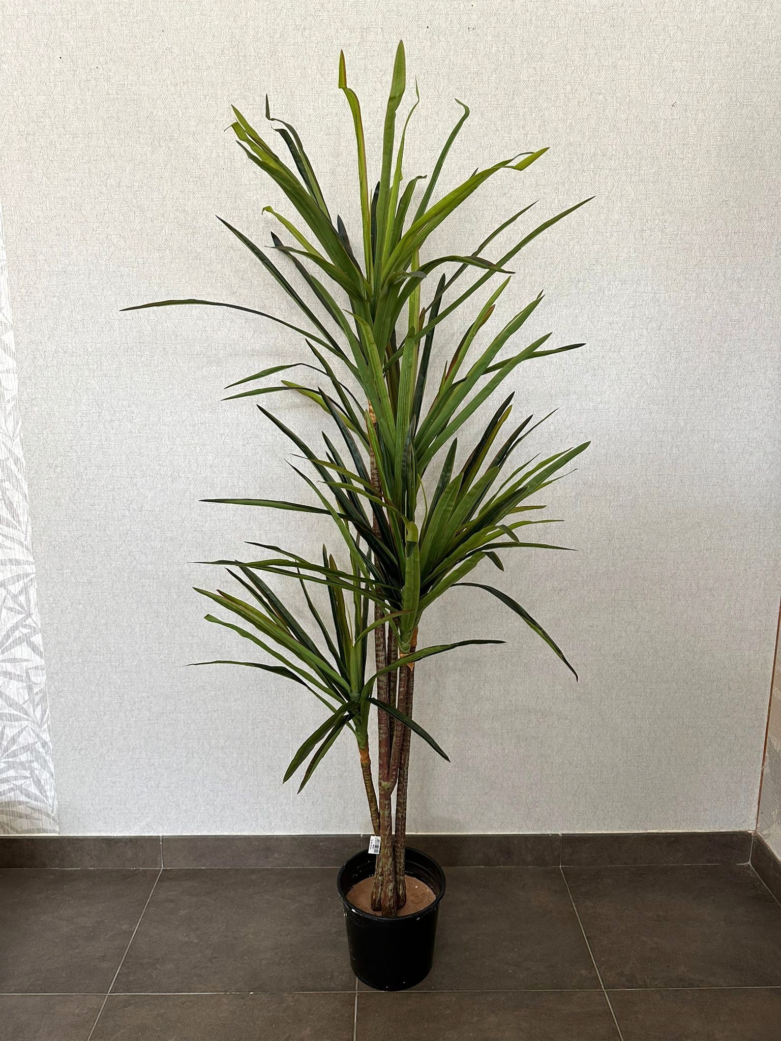 PLANTA YUCCA 160CM