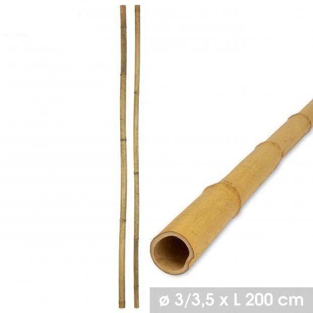 CANA BAMBU 3X200CM