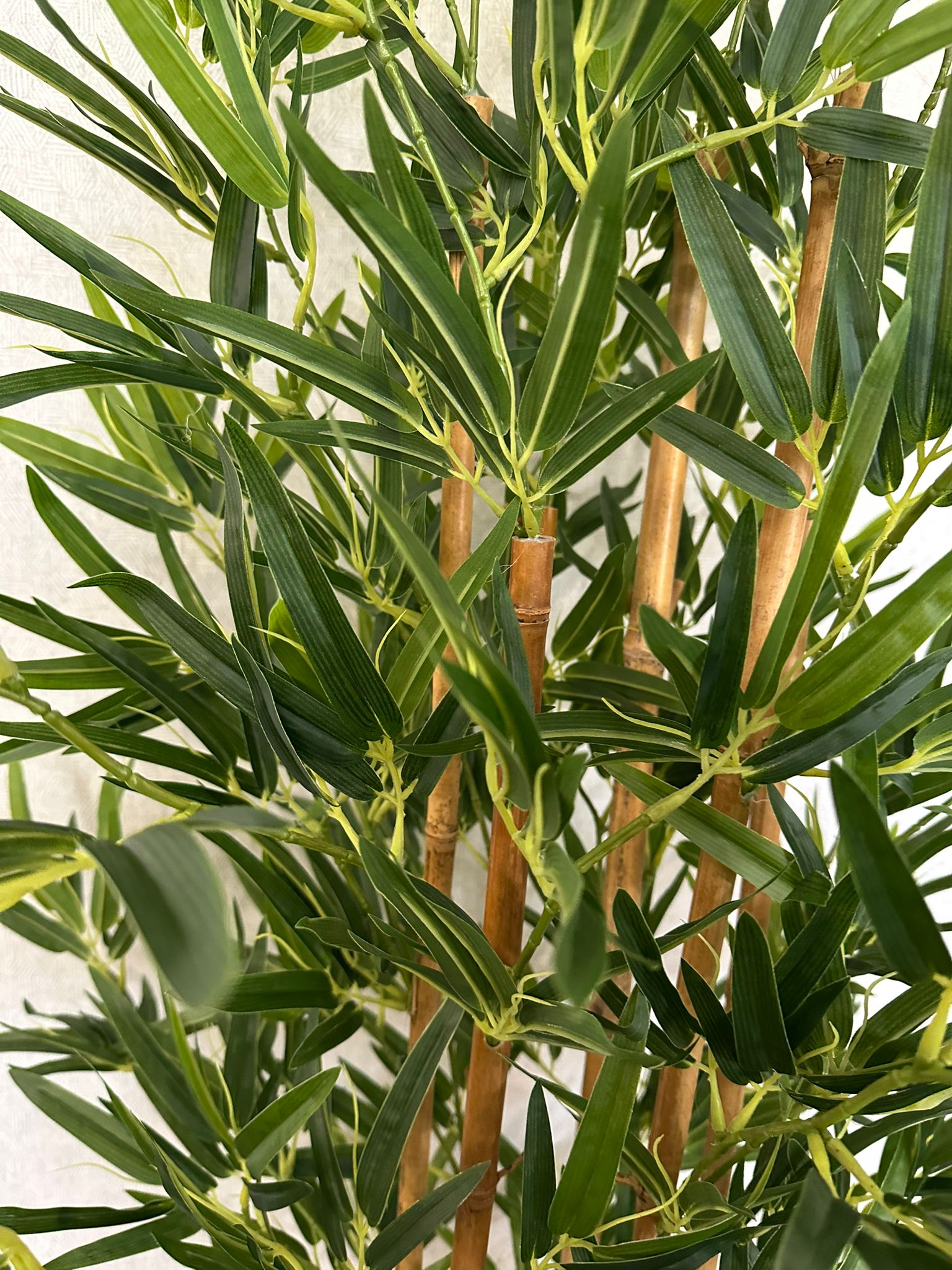 PLANTA BAMBU 150 CM