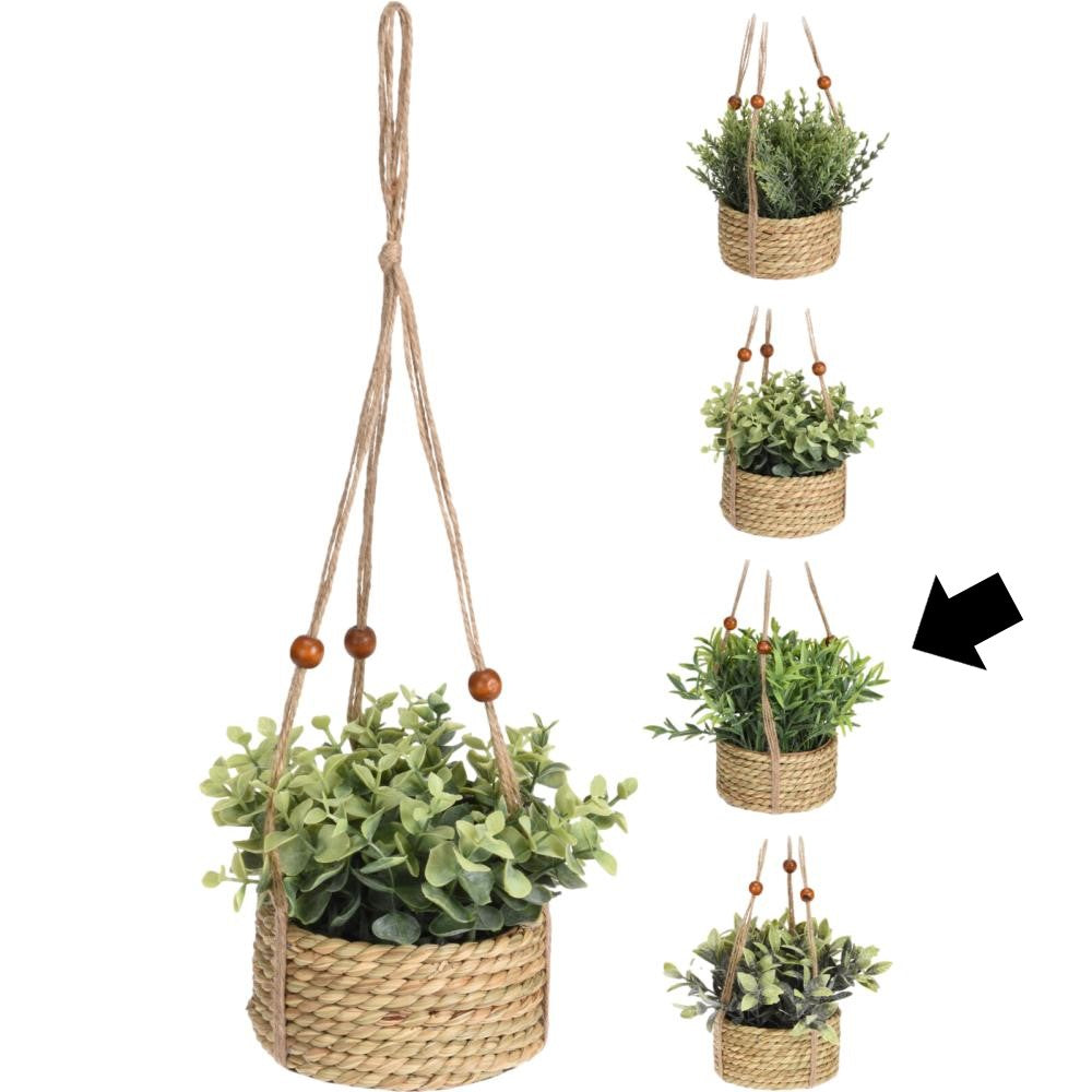 CESTO C/ PLANTA PENDURAR