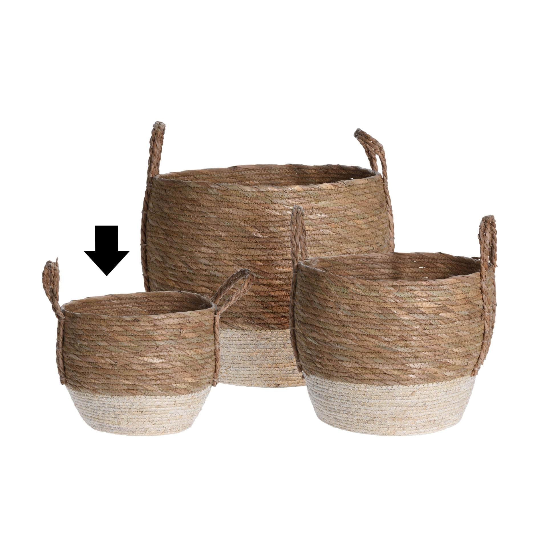 CESTO NATURAL 2 CORES