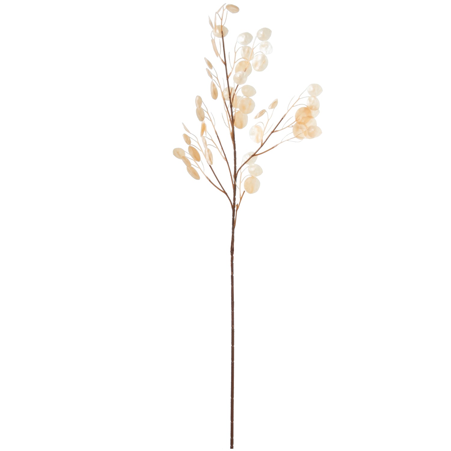 LUNARIA PERLA106CM