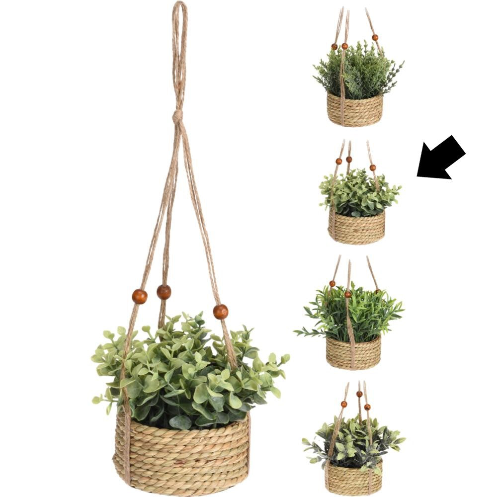 CESTO C/ PLANTA PENDURAR