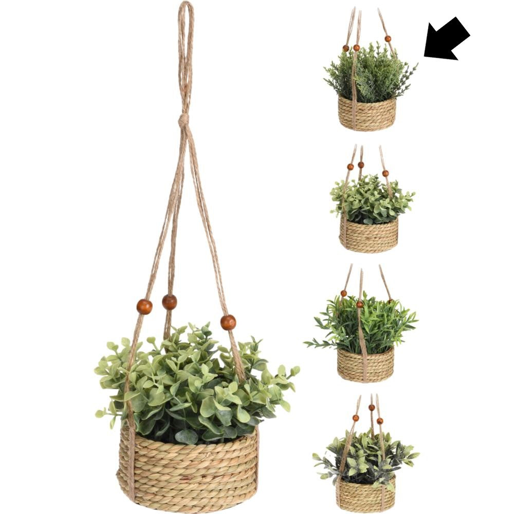 CESTO C/ PLANTA PENDURAR