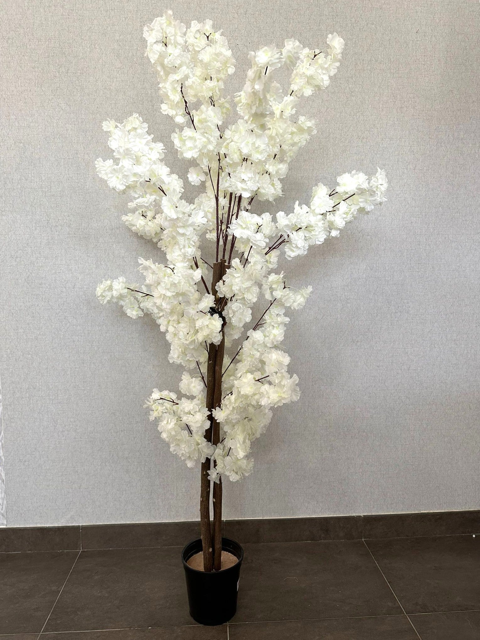 PLANTA SAKURA 170CM