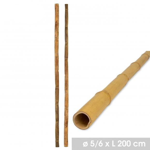 CANA BAMBU 6X200CM