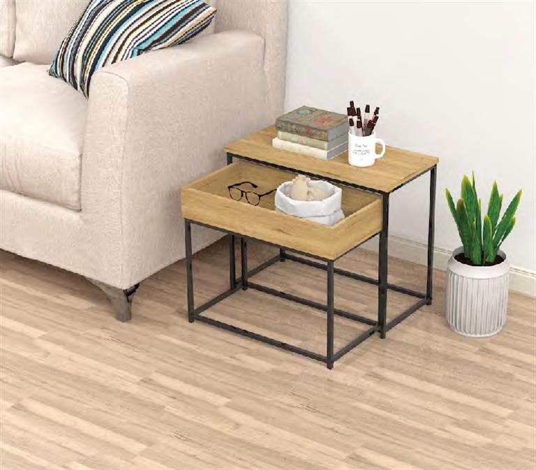 CONJ. 2 MESAS APOIO 60X30X50/55X30X45Cm