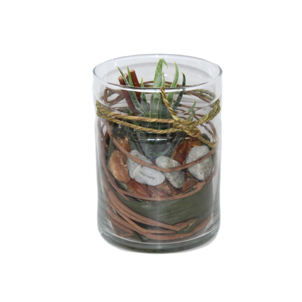 PLANTA CON BOTELLA 10X13CM