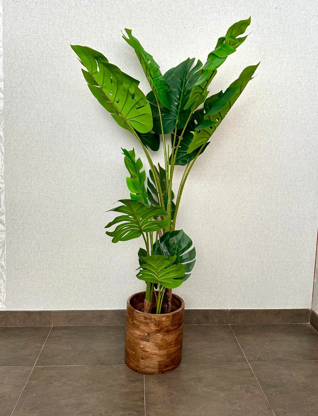 COSTELA DE ADÃO 150CM