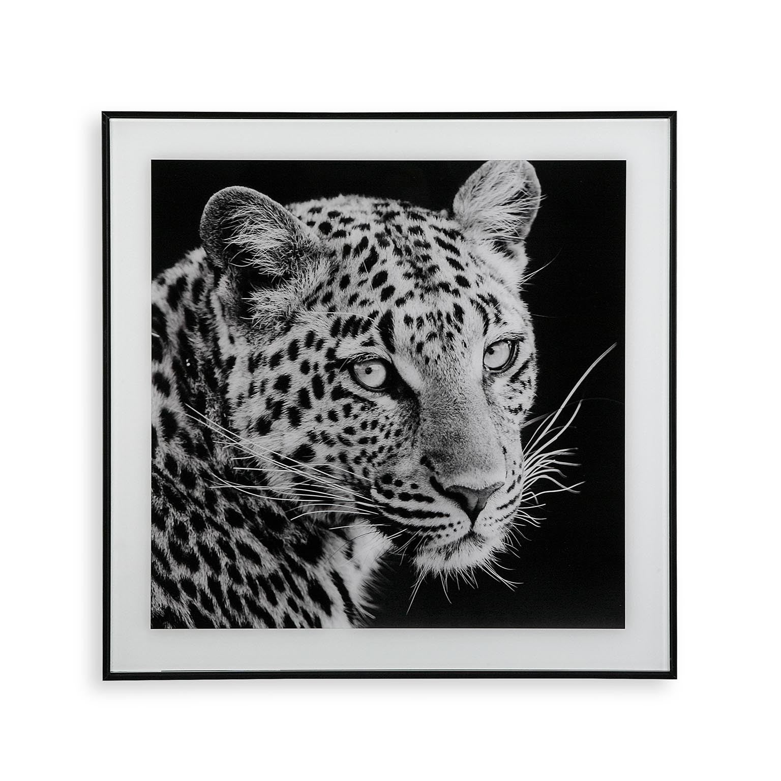 QUADRO TIGRE 50X50CM