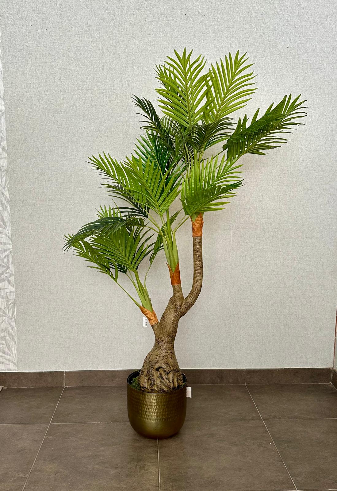 PALMEIRA 140CM