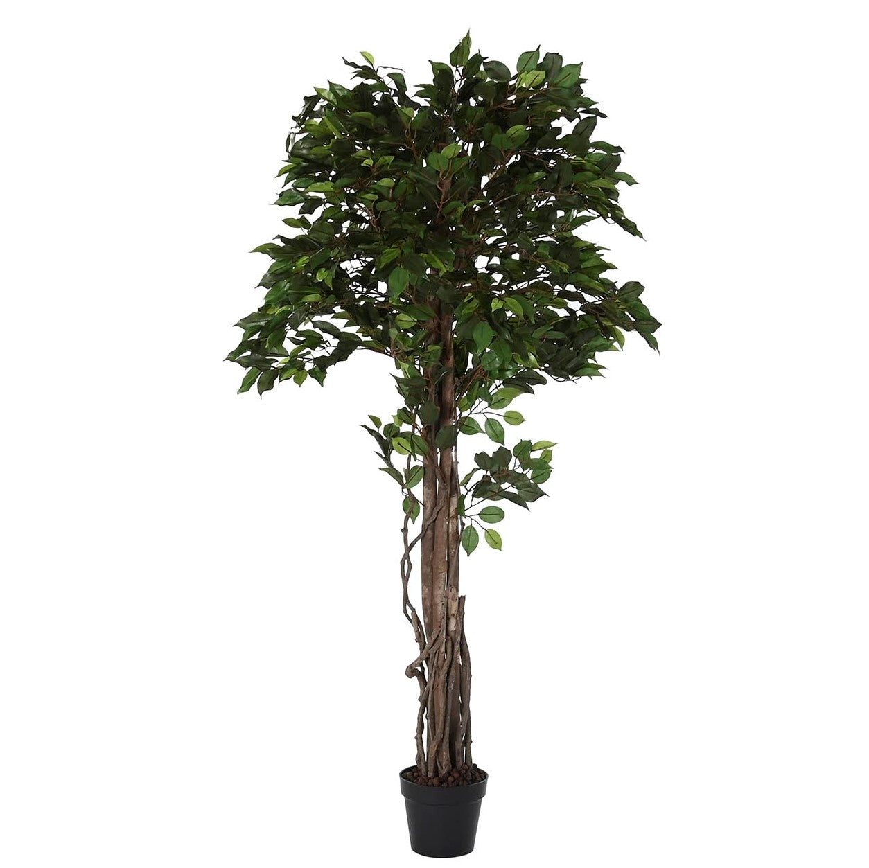 PLANTA FICUS 180CM