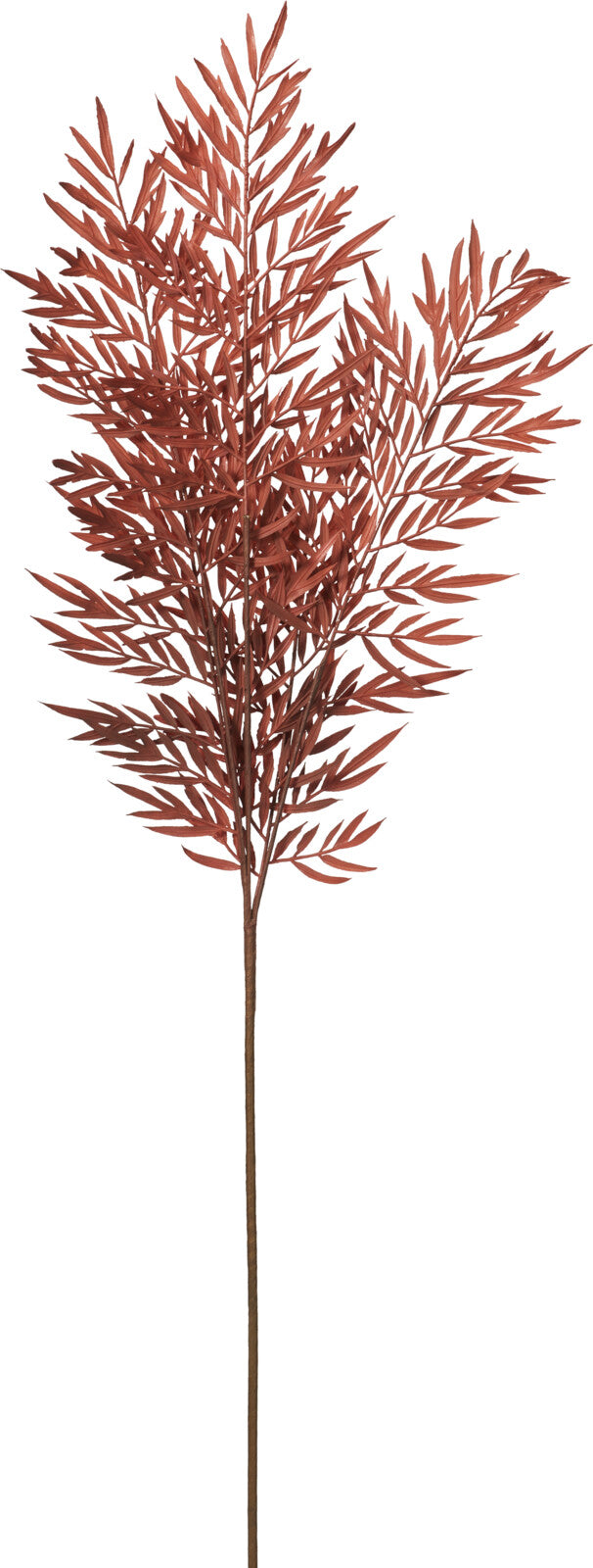 HASTE FOLHAGEM 107Cm