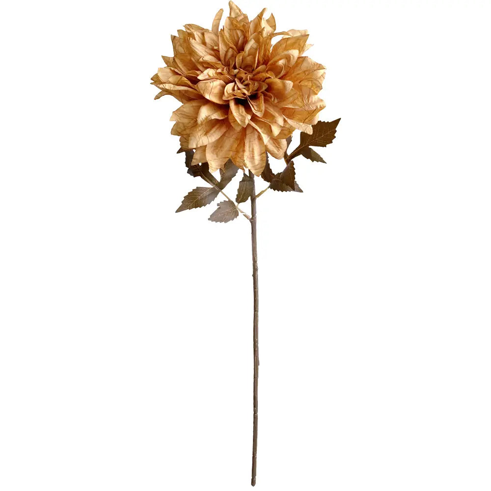 DÁLIA CAMEL 57Cm