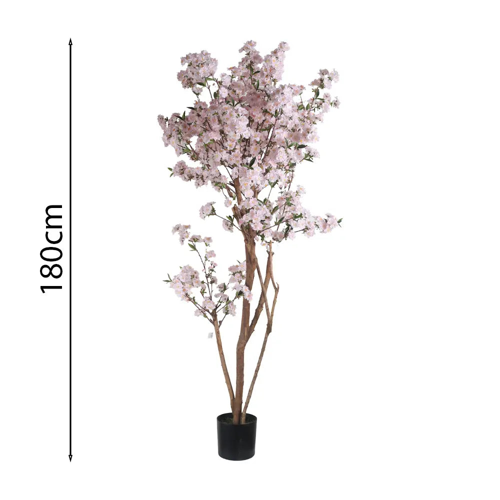 PLANTA CHERRY BLOSSOM ROSA 180Cm