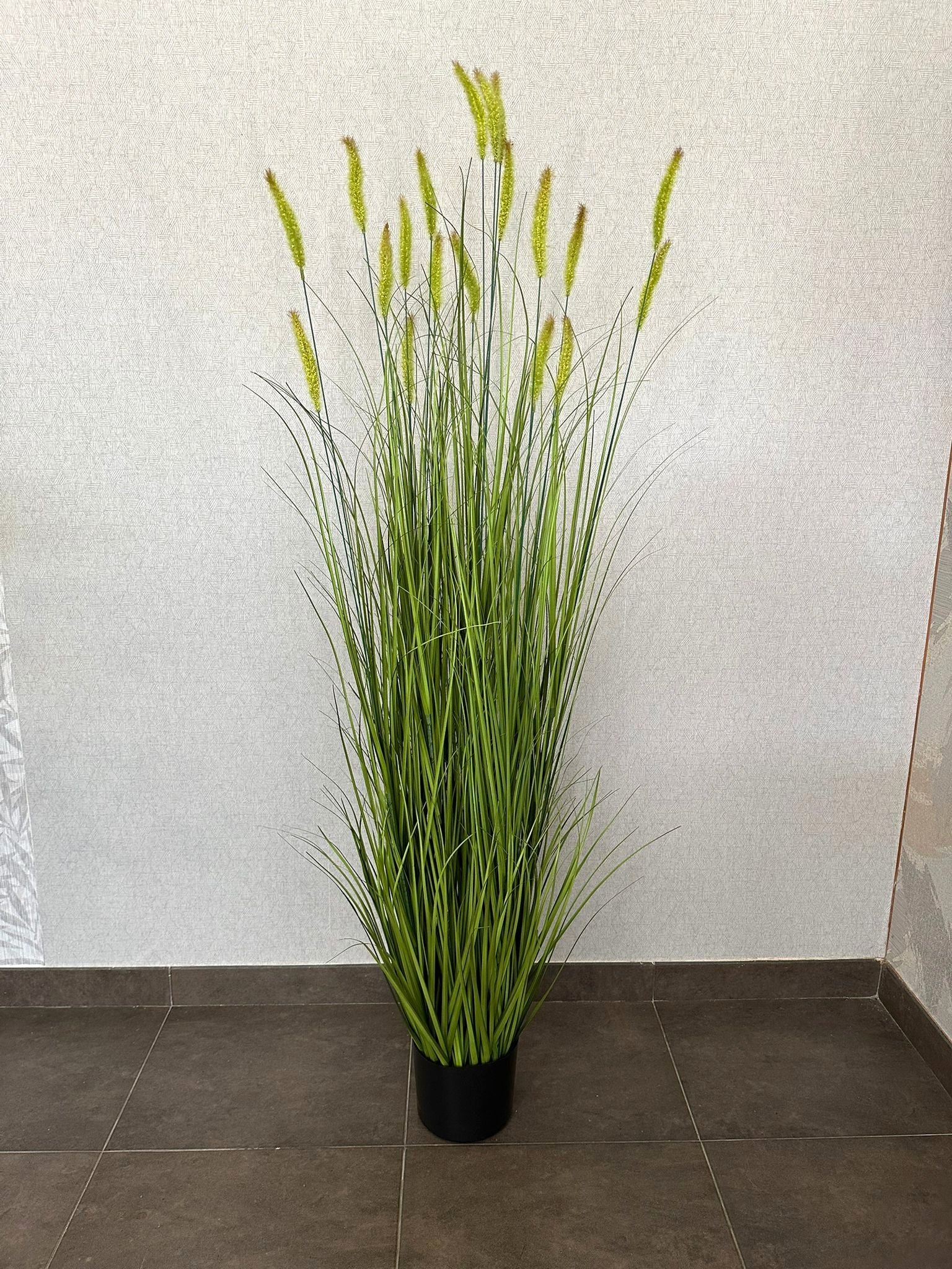 PAMPAS GRASS 150CM