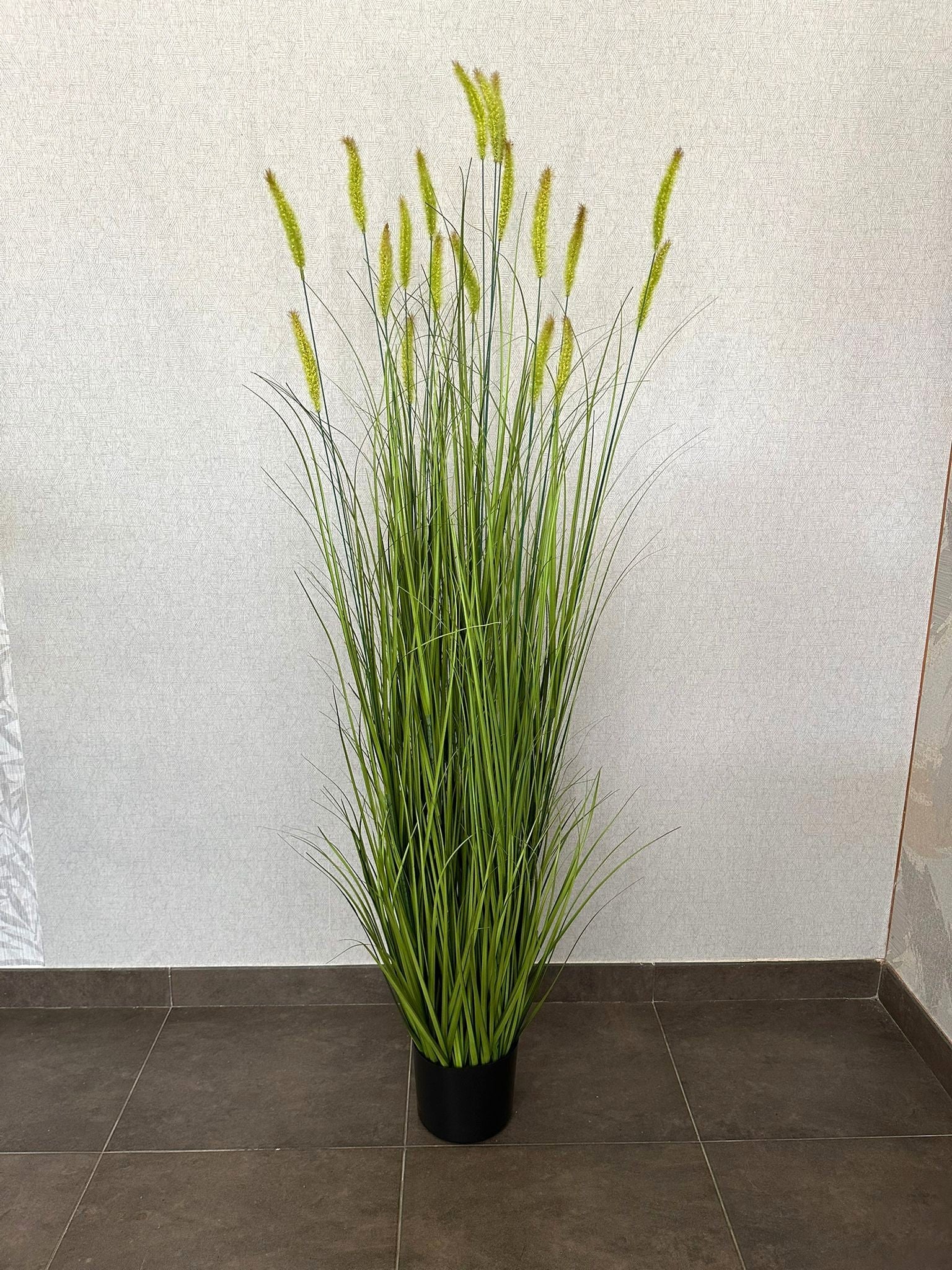 HIERBA DE LA PAMPA 150CM