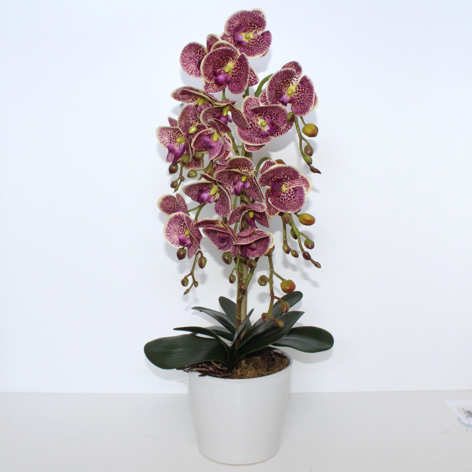 ORQUIDEA ROSA C/ VASO 67CM