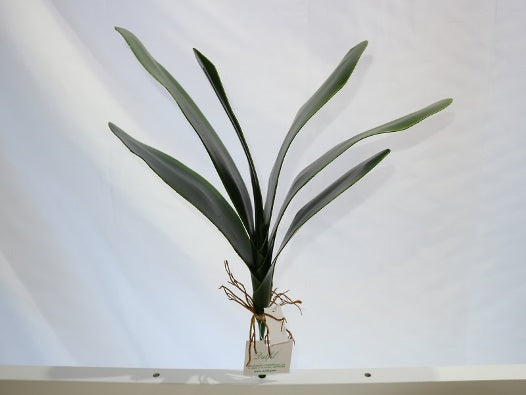 FOLHA ORQUIDEA 44CM