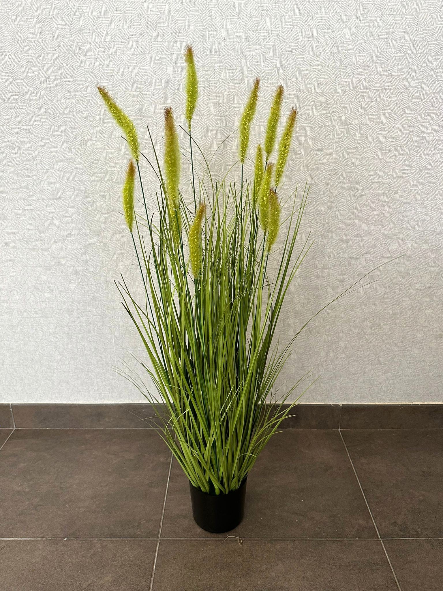 PAMPAS GRASS 90CM