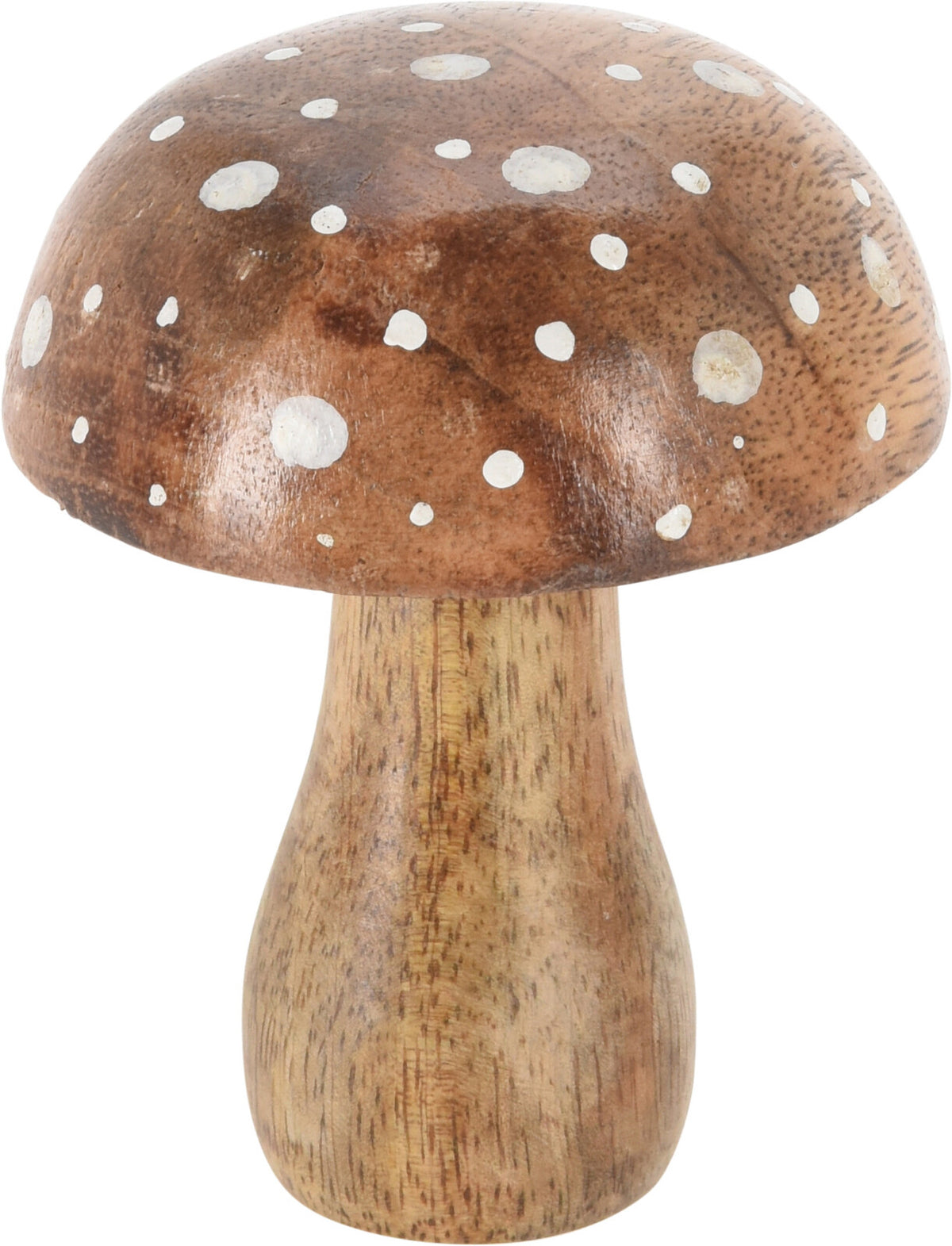 Cogumelo madeira 7x10 cm (imagem 3)