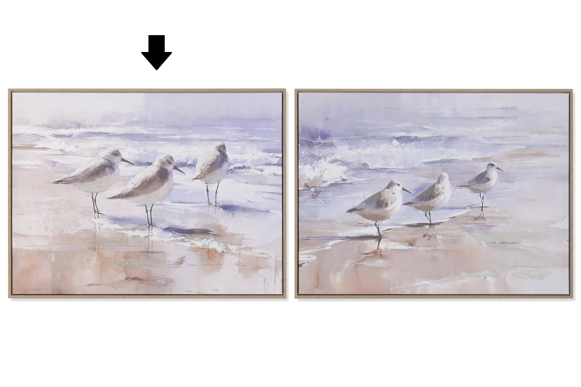 QUADRO PÁSSAROS/PRAIA 80X60Cm