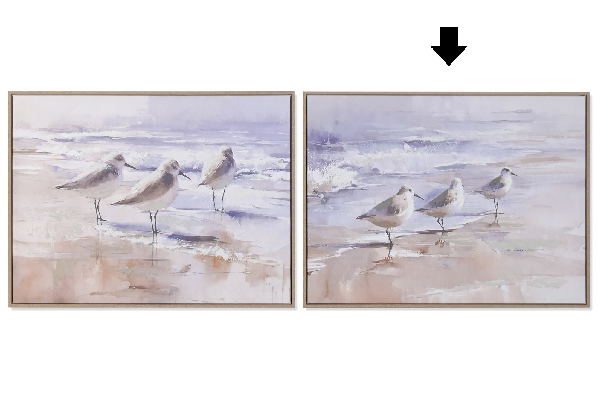 QUADRO PÁSSAROS/PRAIA 80X60Cm