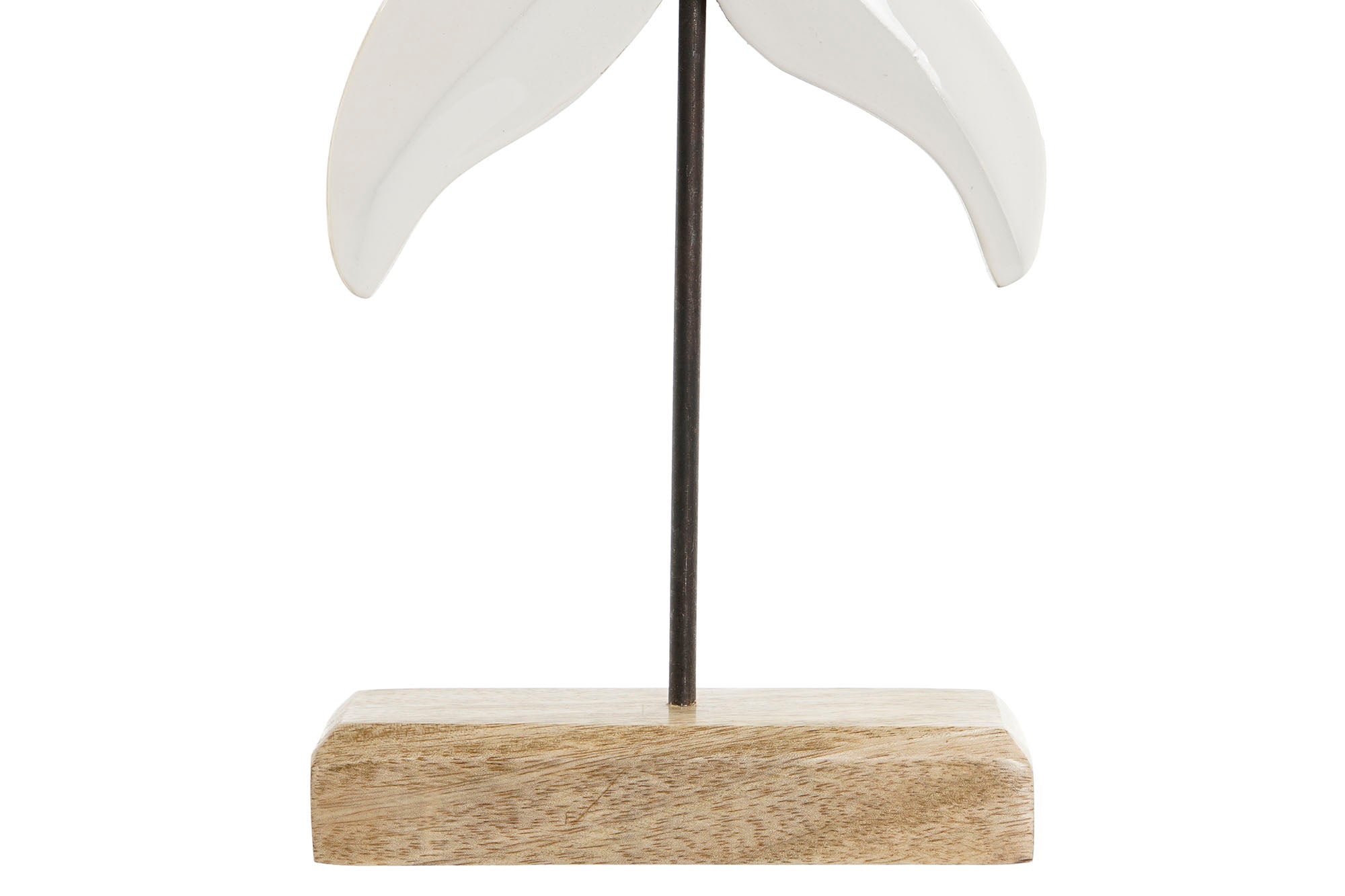 ESTATUETA ESTRELA DO MAR MANGO 18X5X28Cm