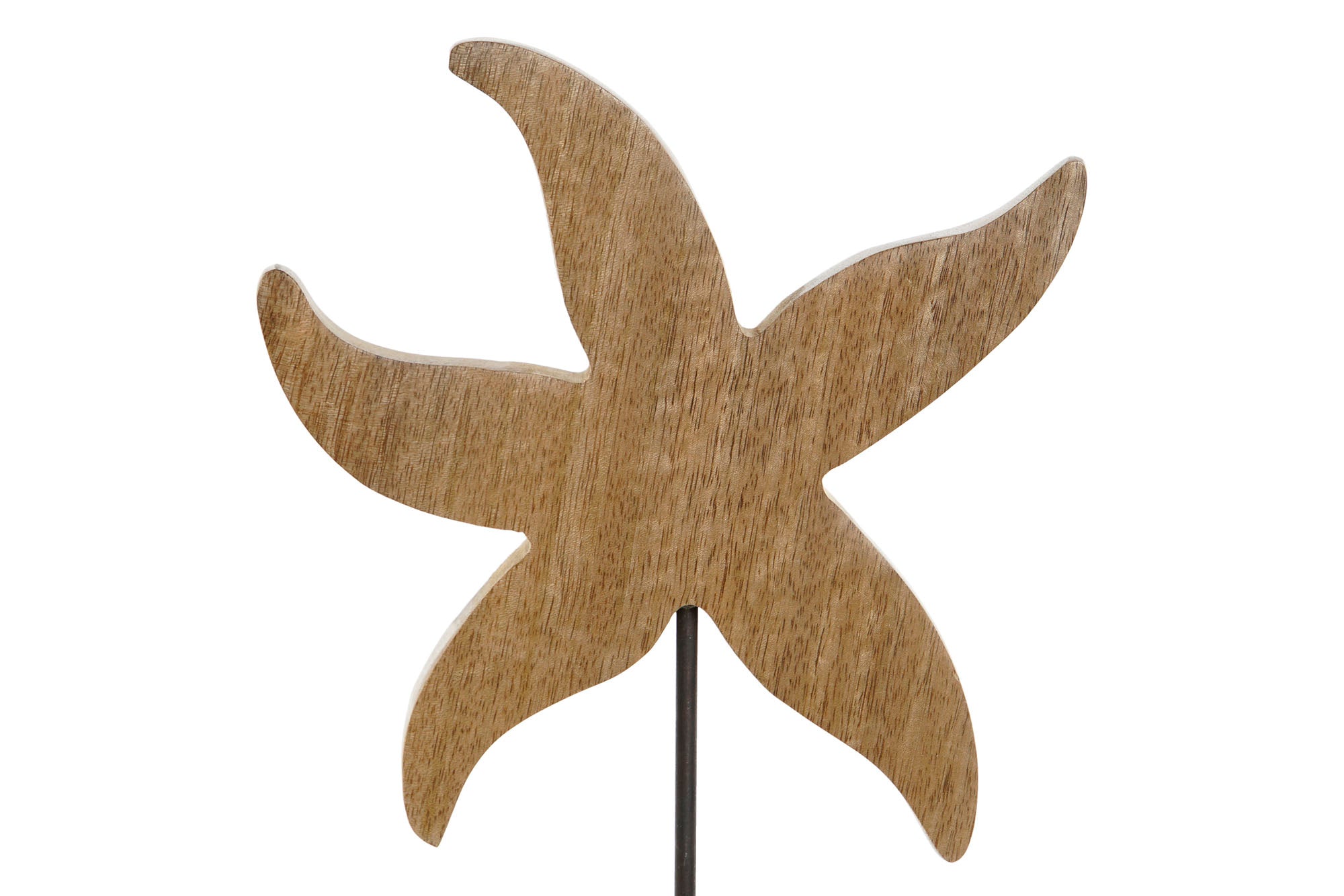 ESTATUETA ESTRELA DO MAR MANGO 18X5X28Cm